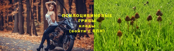 винт Богородицк